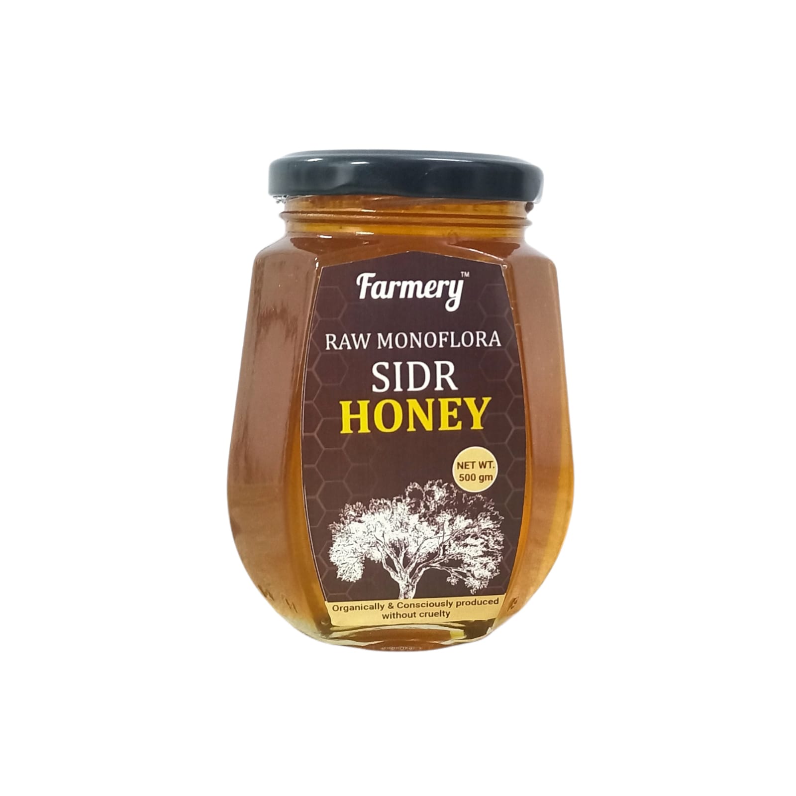 Raw Monoflora Sidr Honey 